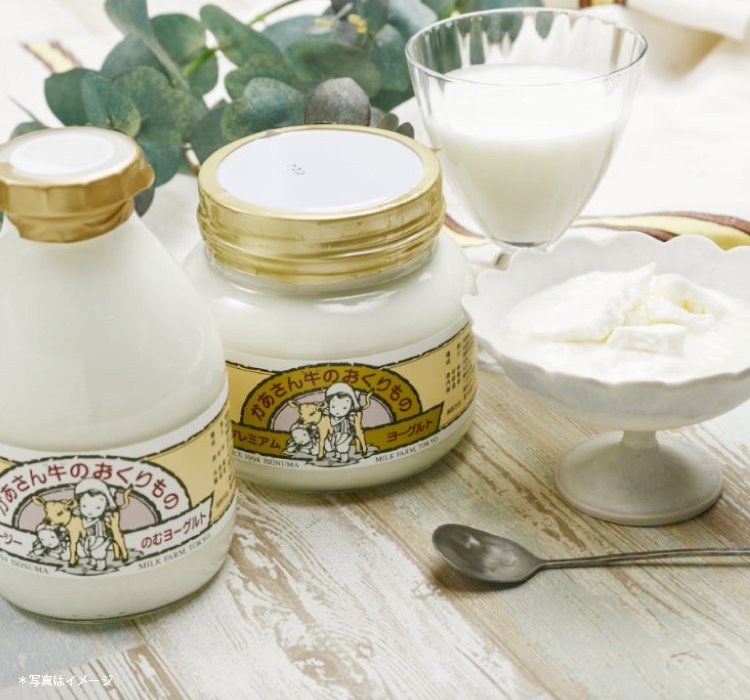 磯沼ミルクファームのヨーグルトセット